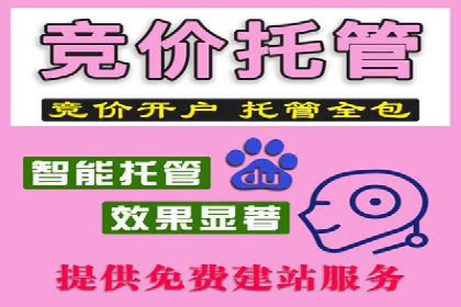 SEM竞价案例教学，实战经验分享